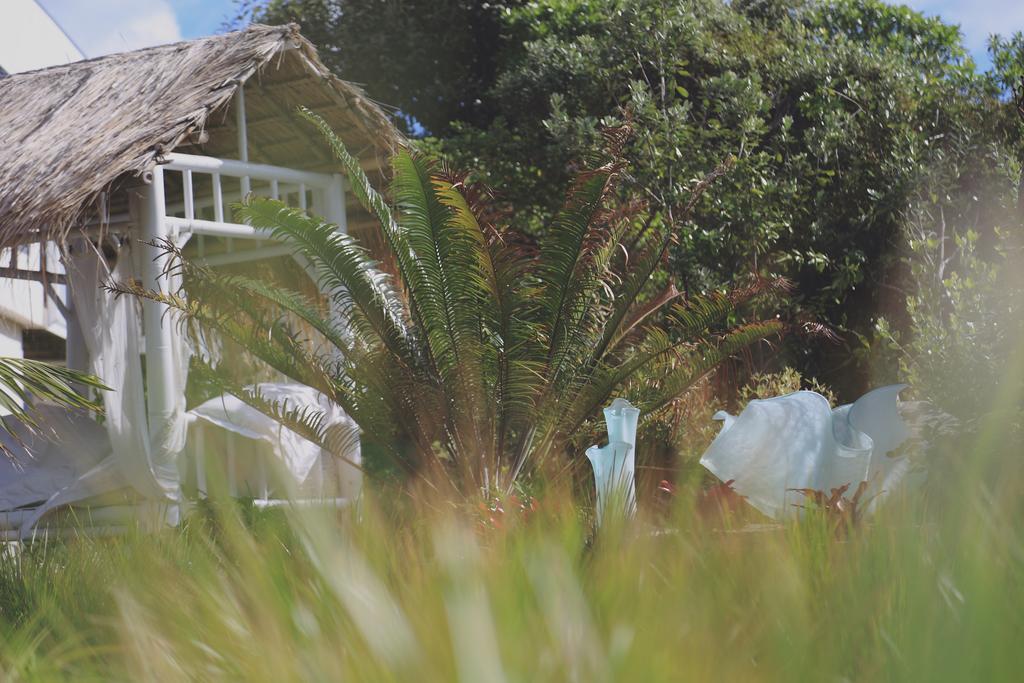 Two Bare Feet Apartment Waihi Exterior photo